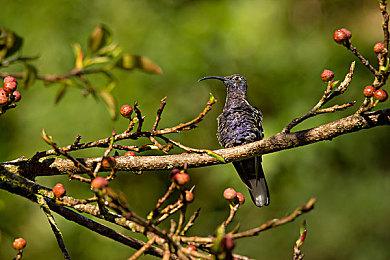 《死亡搁浅2》成为索尼新发布会最大赢家 播放量最高